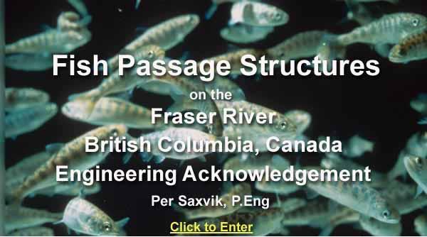 Fish Passage Structures
